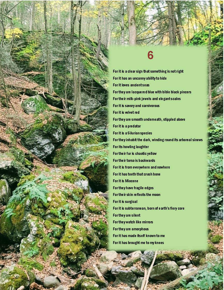 Go to link on page for accessible PDF version.