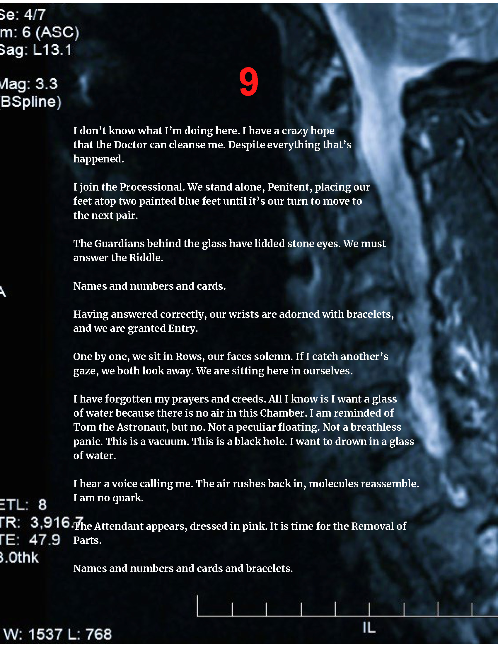 Go to link on page for accessible PDF version.