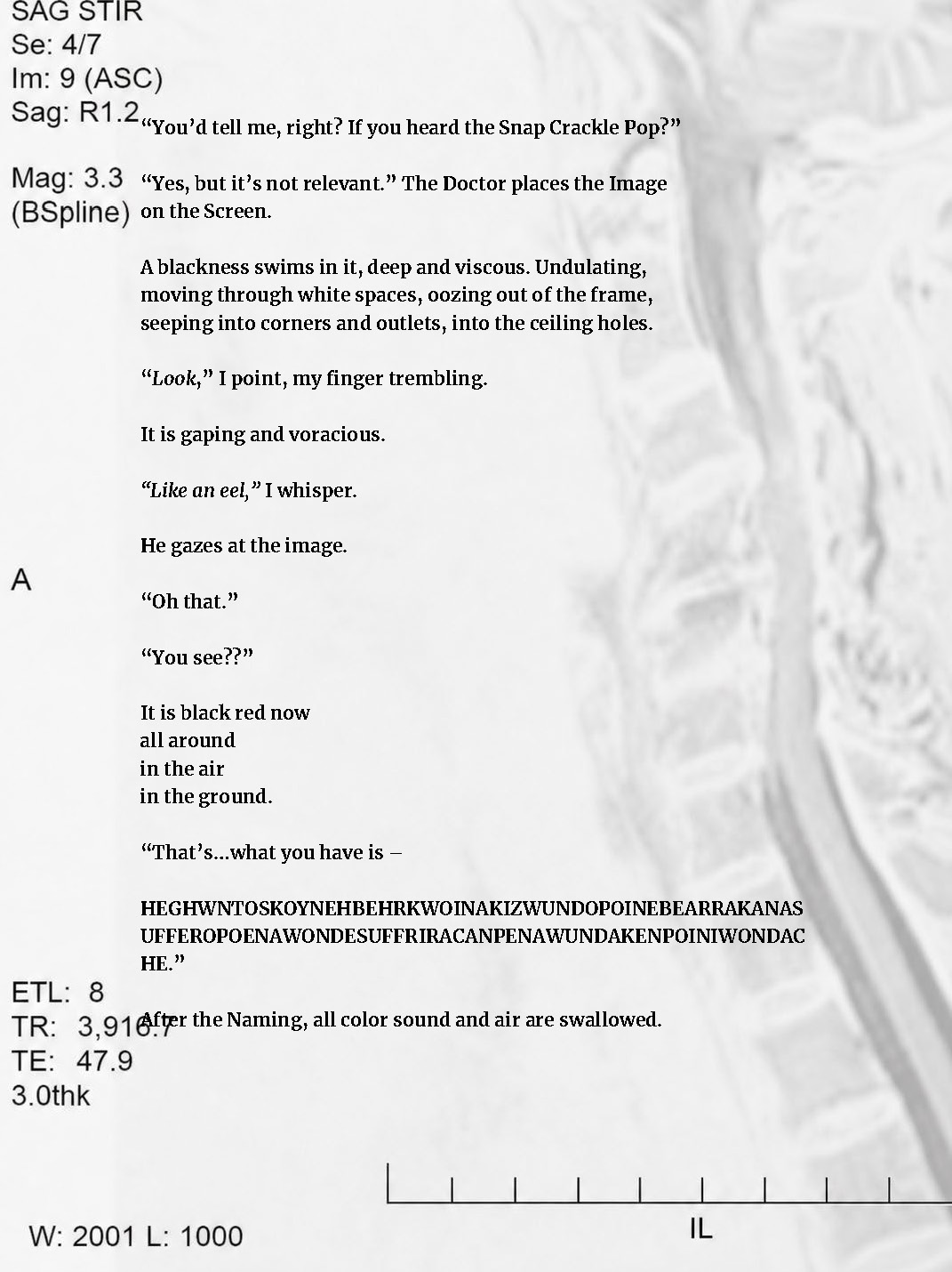 Go to link on page for accessible PDF version.